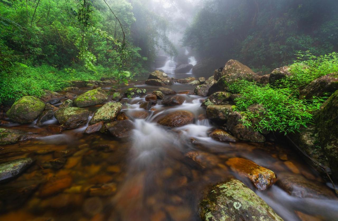 Mandaram Eco Resort Nuwara Eliya Eksteriør bilde